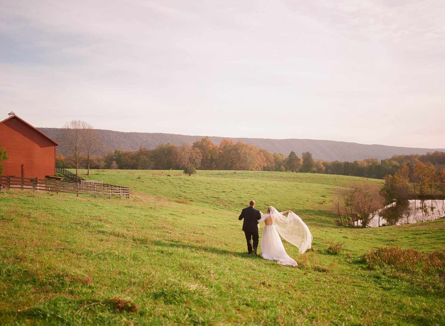 Bride and groom walking across a field on a farm during a rustic farm wedding.