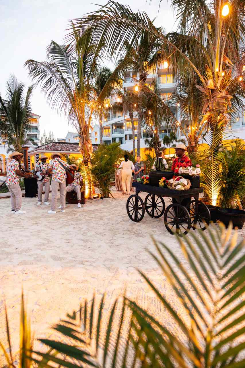 Wedding Cocktail Hour on Beach With Illuminated Palm Trees, Live Band, and Coconut Water Stand