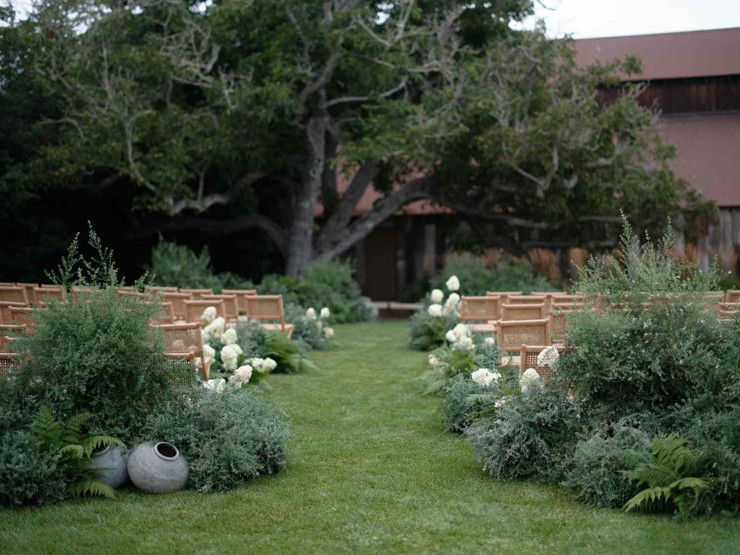 Plants, Pottery, and White Flower Decor in Aisle of Wedding Ceremony