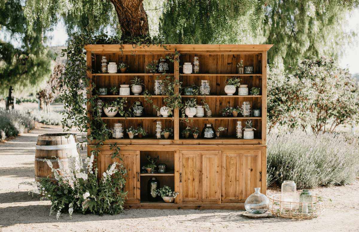 Seating chart of potted plants in wooden shelf under tree