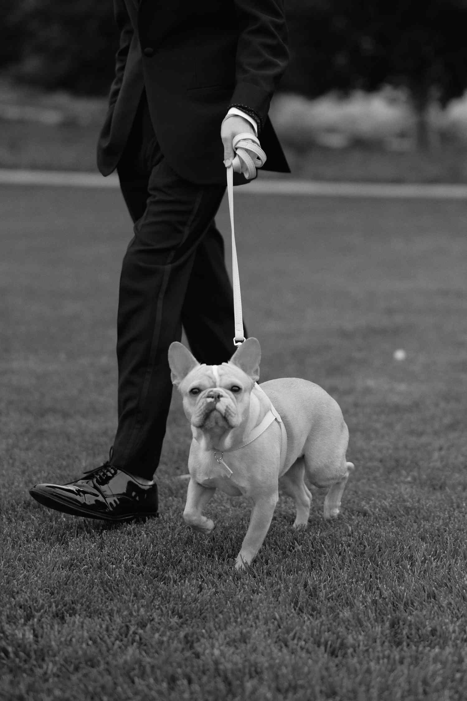 Black And White Image of Man in Tuxedo and Dress Shoes Holding Leash of Dog
