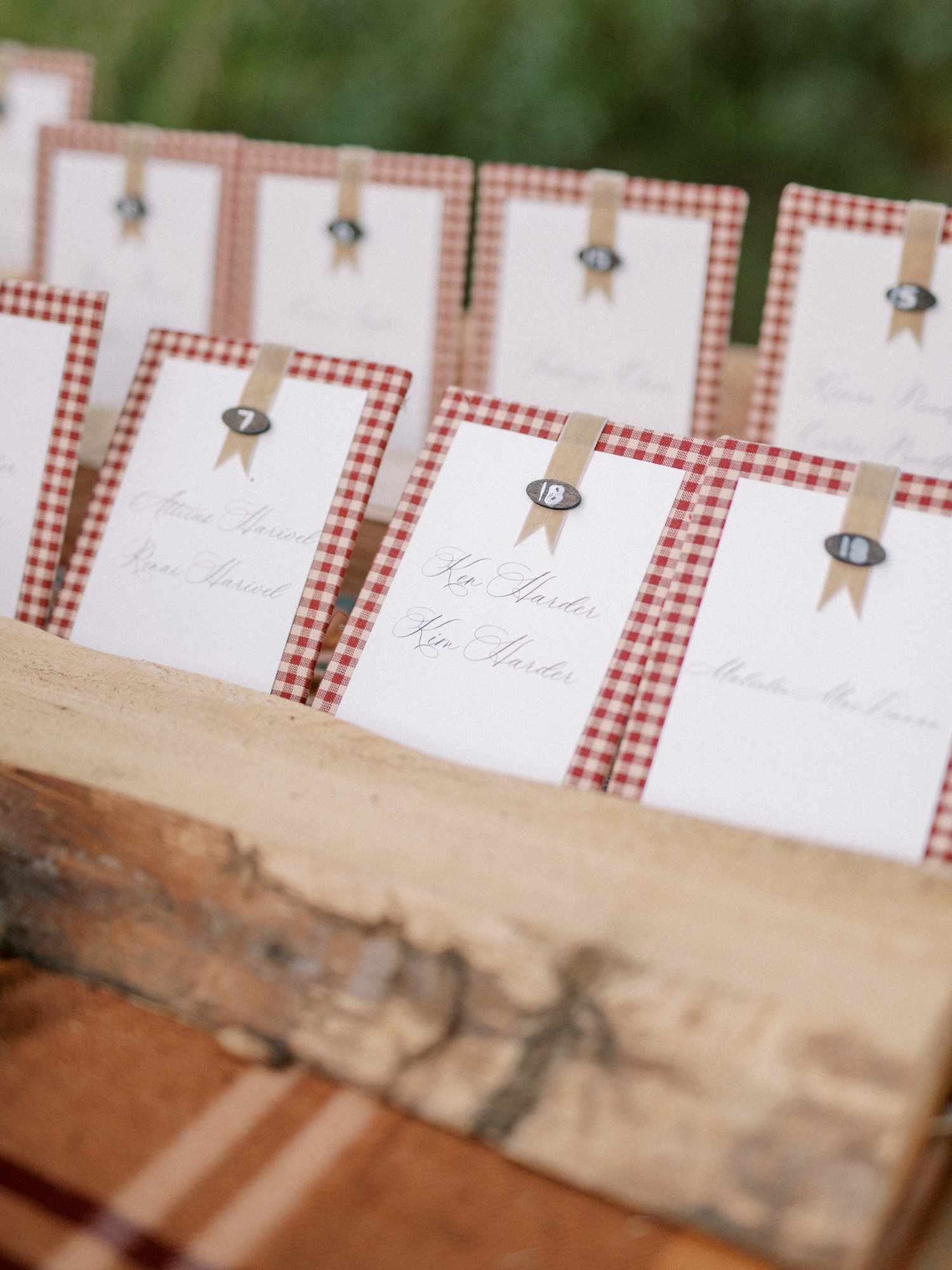 Close Up of Gingham Themed Wedding Reception Seating Cards