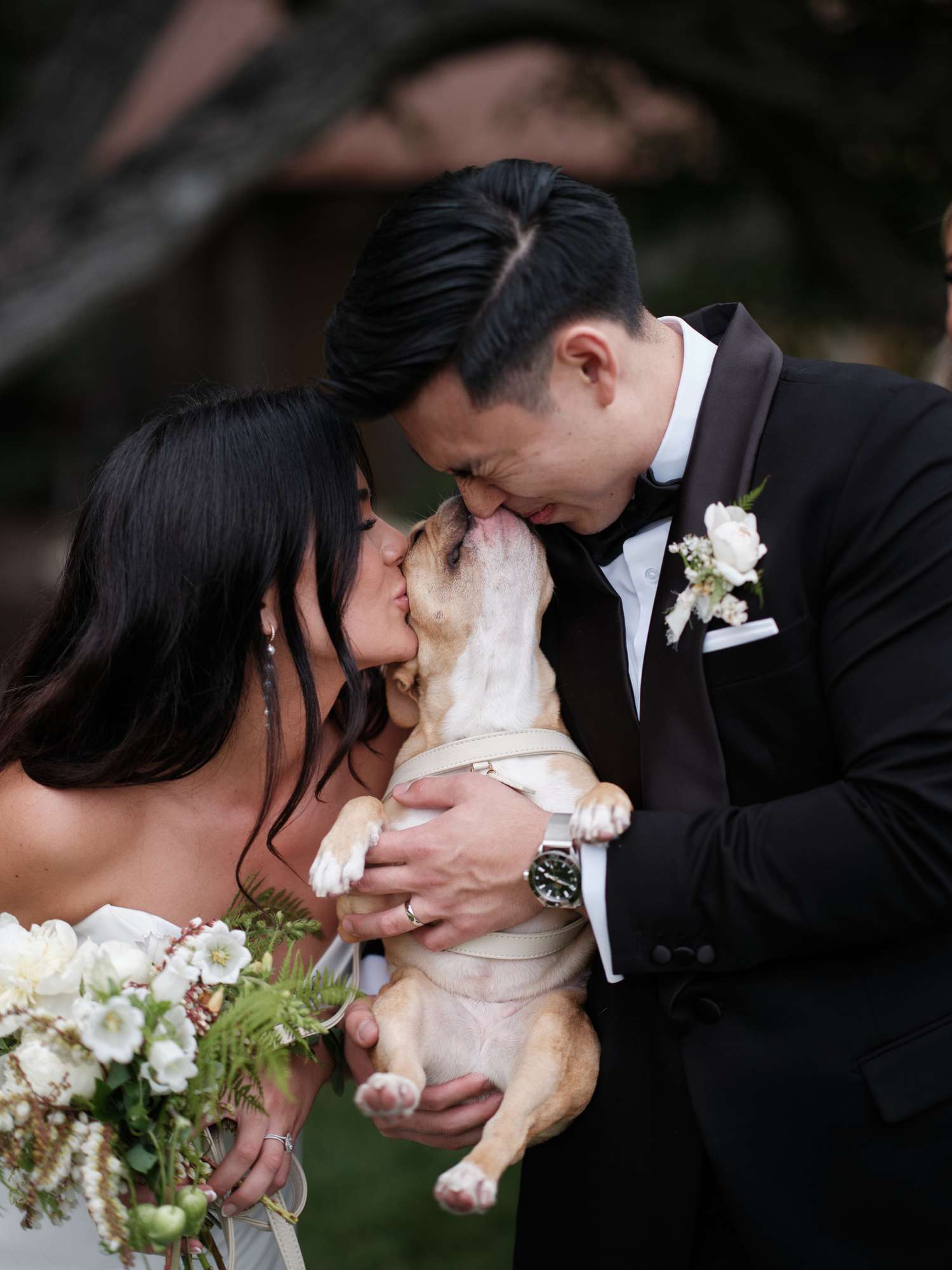 Bride in Wedding Dress and Hair Down Kissing Dog With Groom in Black Tuxedo
