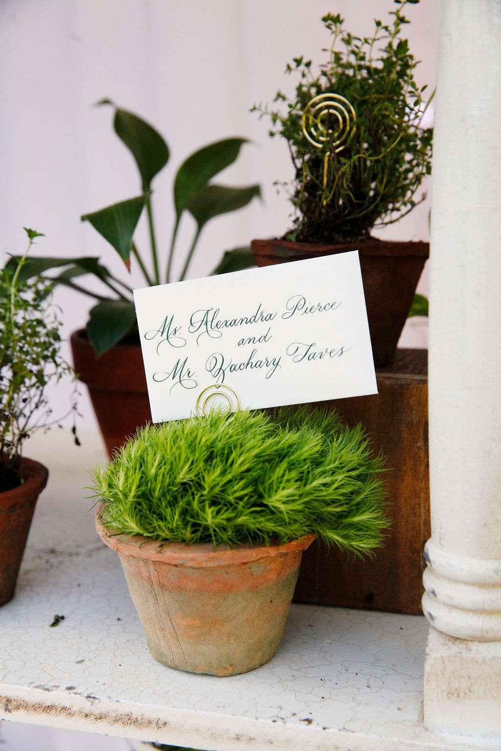 Terracotta pot with green grass holding wedding escort card