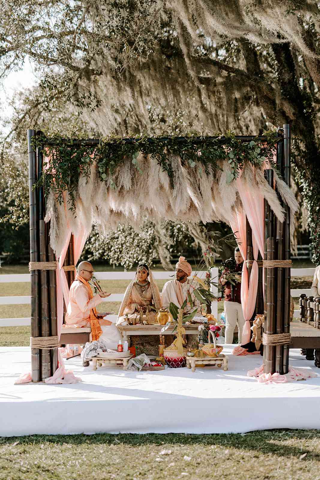 couple sitting under a mandap with hanging pampas grass