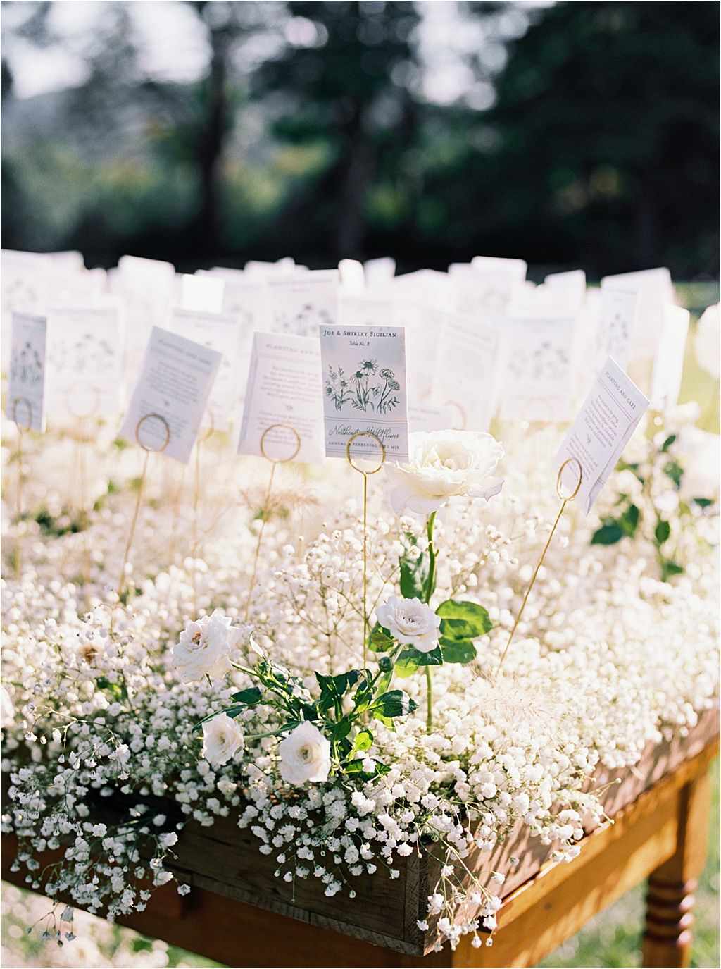 escort display with baby's breath