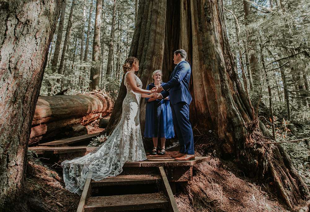 A Couple Elopes With an Officiant on Vancouver Island In a Forest of Tall Trees