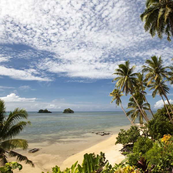 With its palm trees and white sand beaches, Fiji is the perfect honeymoon destination.