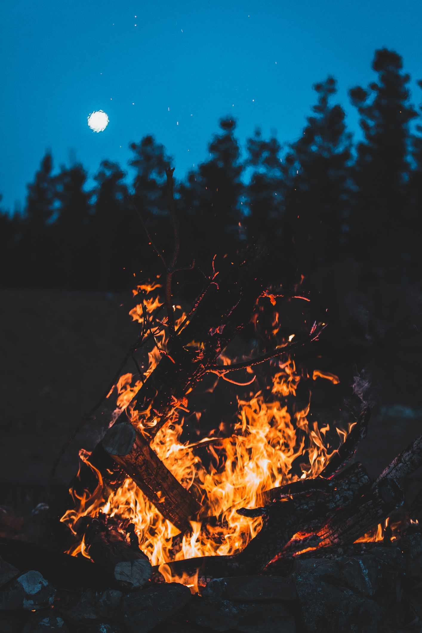 Bonfire at night surrounded by silhouettes of trees