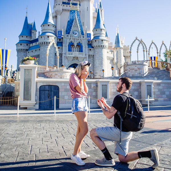 disney proposal