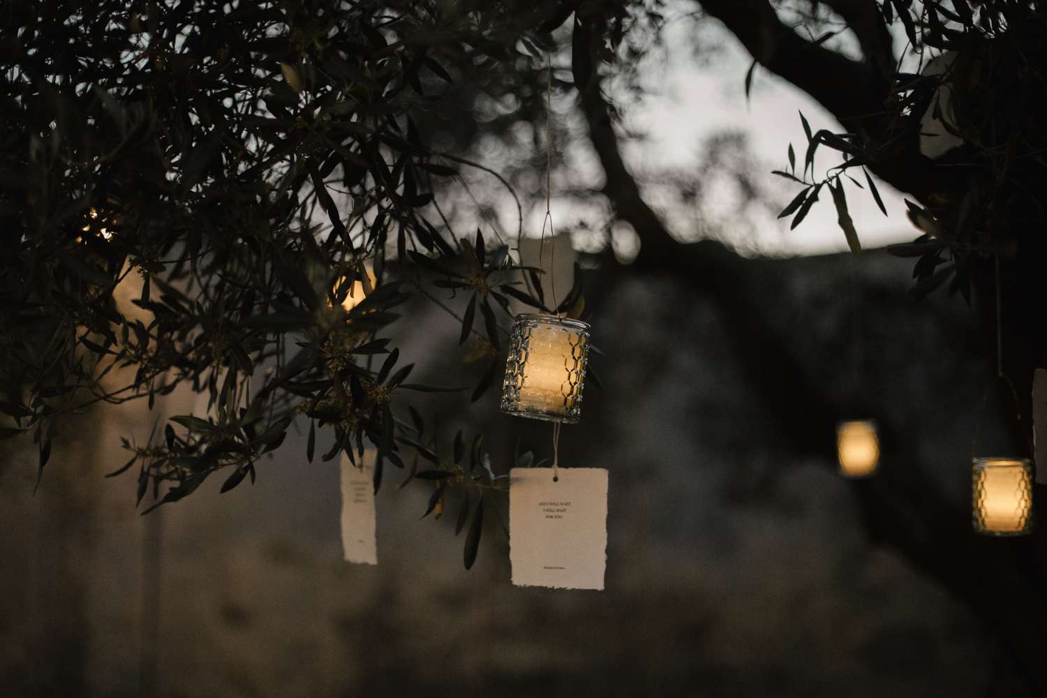 Candles and poems hanging in trees