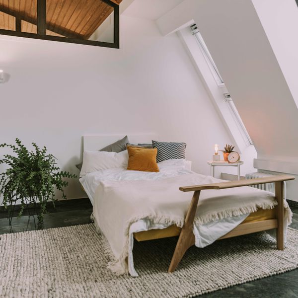 Bedroom with double bed, plant, and bench