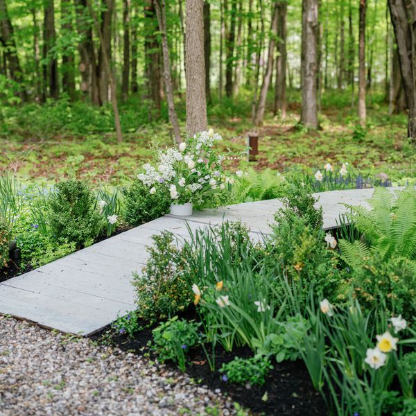 Boardwalk in Forest Lined With Planted Ferns, Greenery, and Flowers in Soil