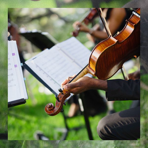 DreamPlug String Quartet Performing at Anika Noni Rose's Wedding