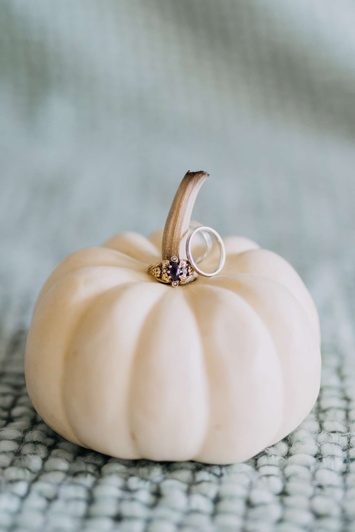 A white pumpkin with two rings placed on the stem