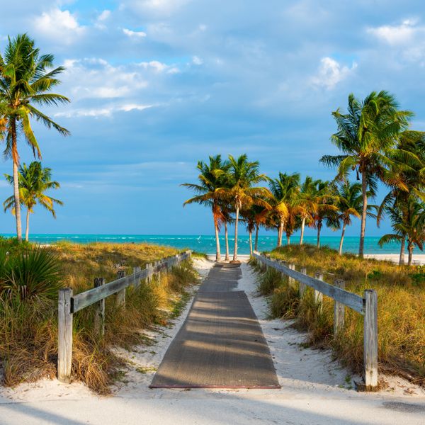 Palm trees over dune grasses in front of the beach and the ocean in Florida, a romantic honeymoon destination