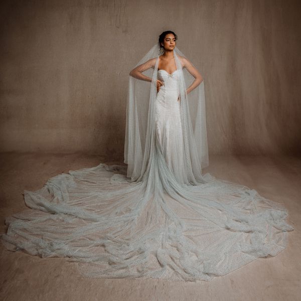 Gradient White and Blue Strapless Wedding Dress With Long Train and Veil
