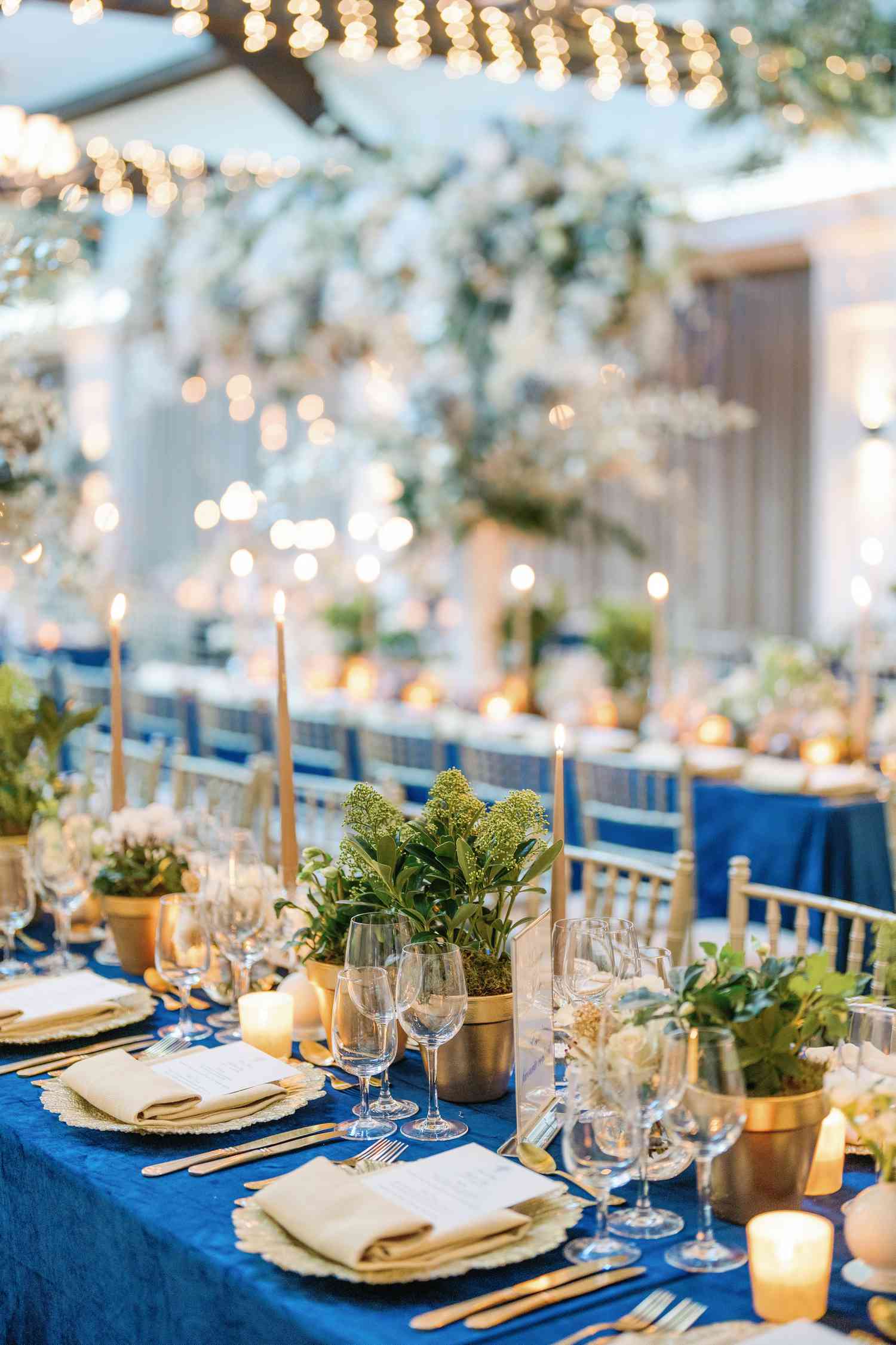 A wedding reception dinner table with potted plants as decoration.