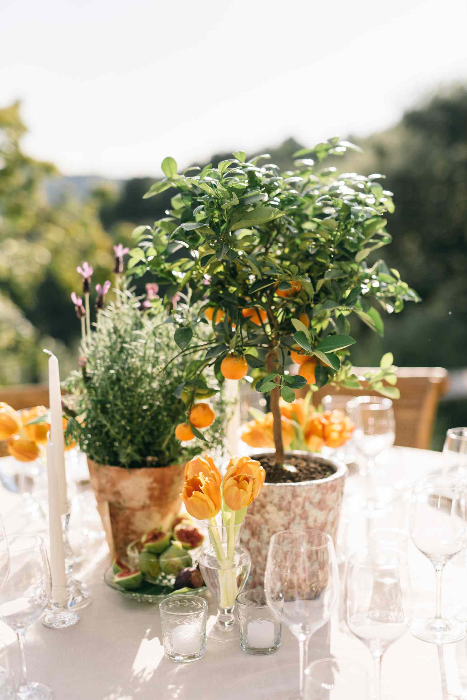Potted plant wedding reception centerpiece on round table at outdoor wedding
