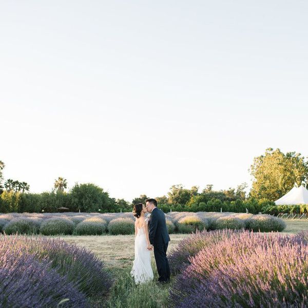 Bride and groom kissing at sunset in a lavender field with a wedding reception tent in the distance.