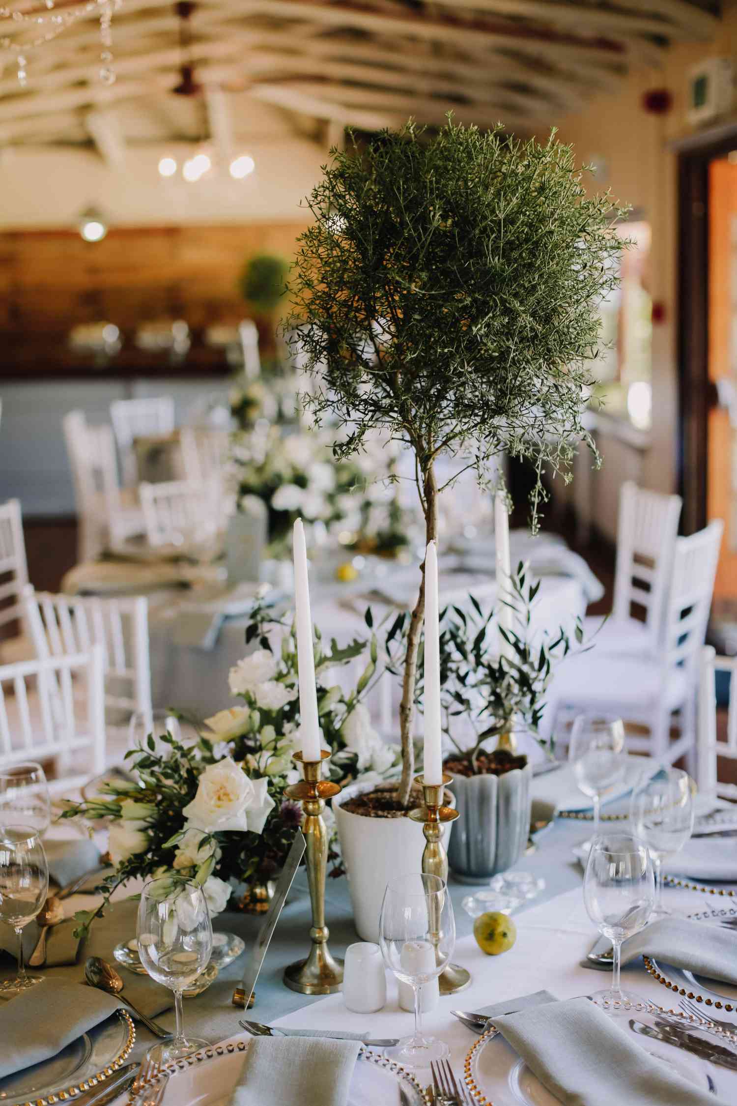 natural tree centerpiece