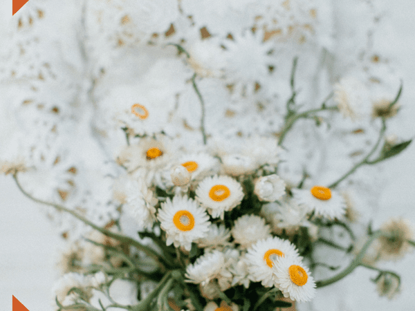 bride in lace dress holding posy of daisies