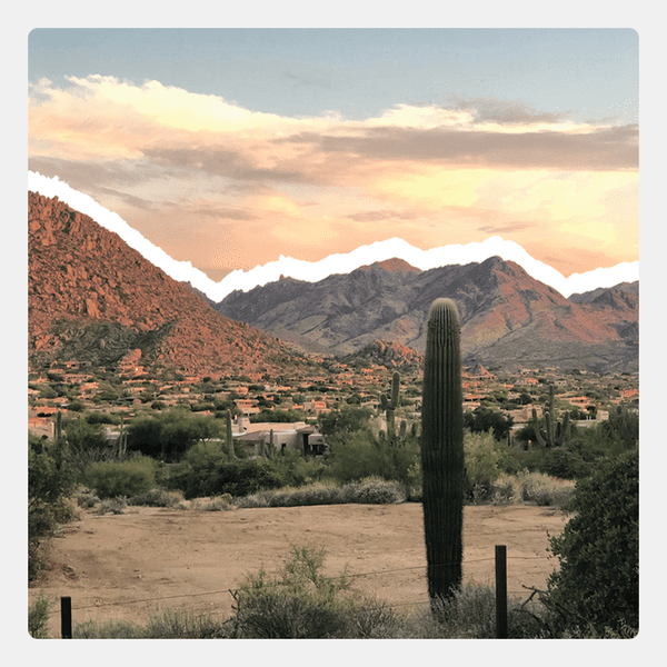 arizona